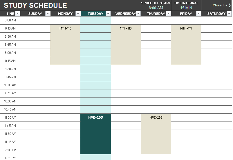 Study Schedule Template 01