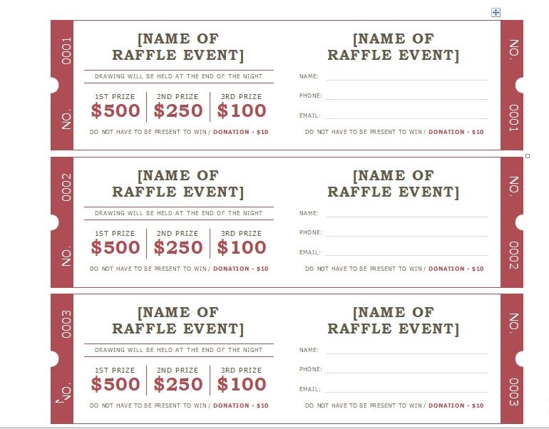 Raffle Ticket Templates 13