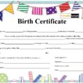 Birth Certificate Template 04