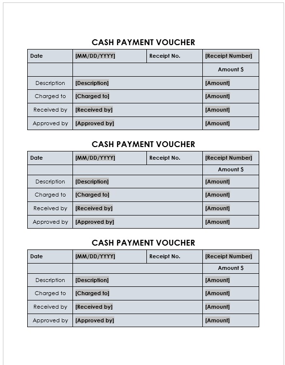 Cash Payment Voucher Format 03